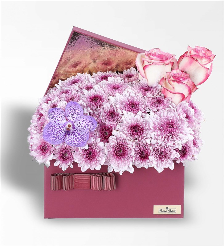 Bordo Kutuda Pembe Papatya Ve Vanda Mor Orkide Xl