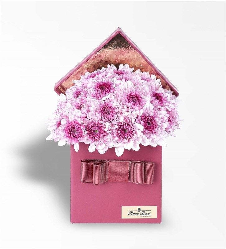 Bordo Kutuda Pembe Papatyalar